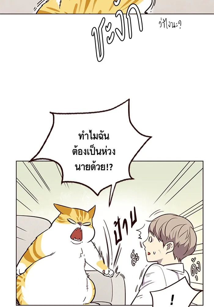 Eleceed ตอนที่ 6 หน้า 29