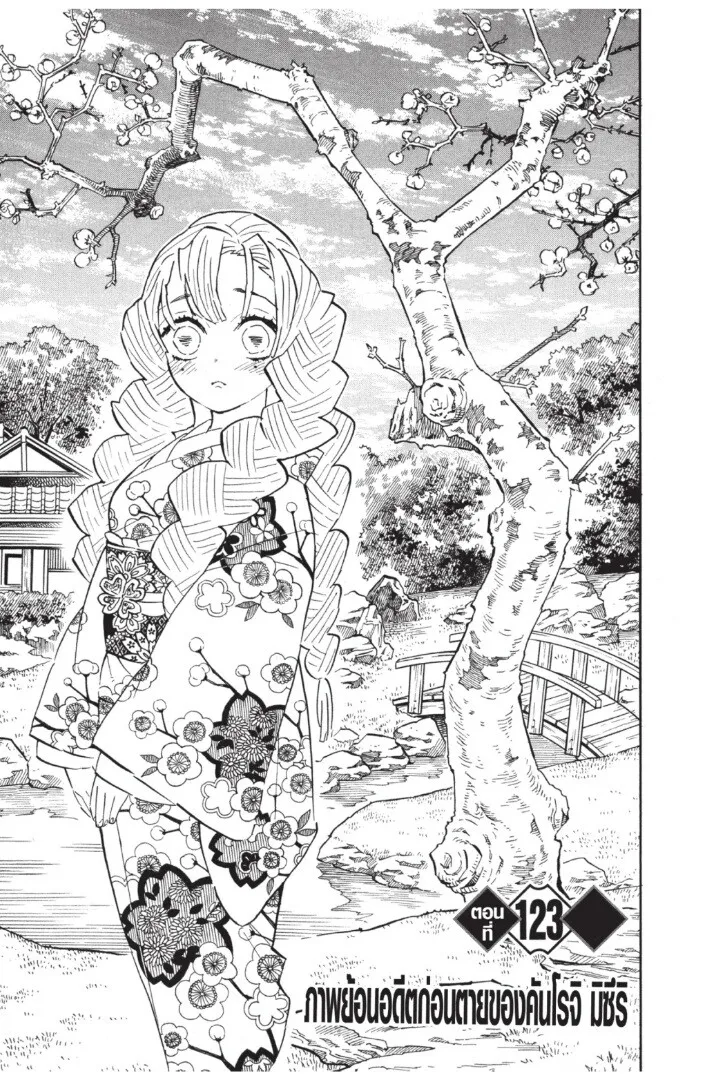 Kimetsu no yaiba ตอนที่ 116 หน้า 149