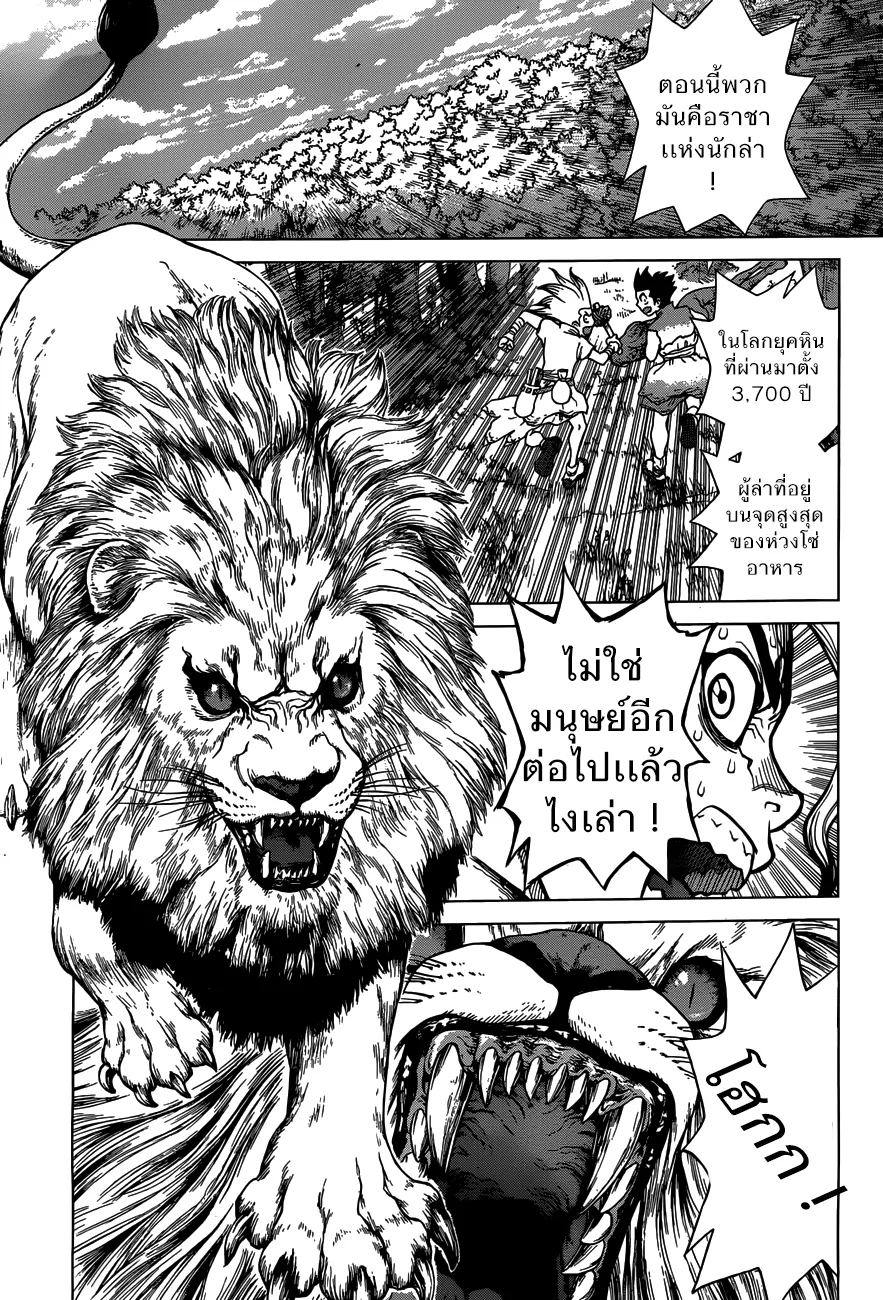 Dr. Stone ตอนที่ 3 หน้า 7