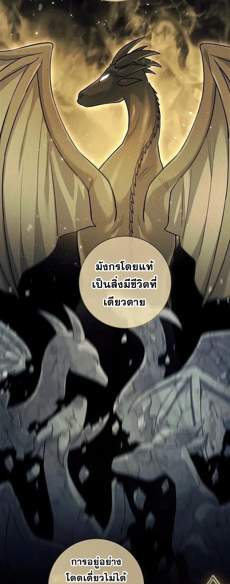 Magic Lord ตอนที่ 5 หน้า 19