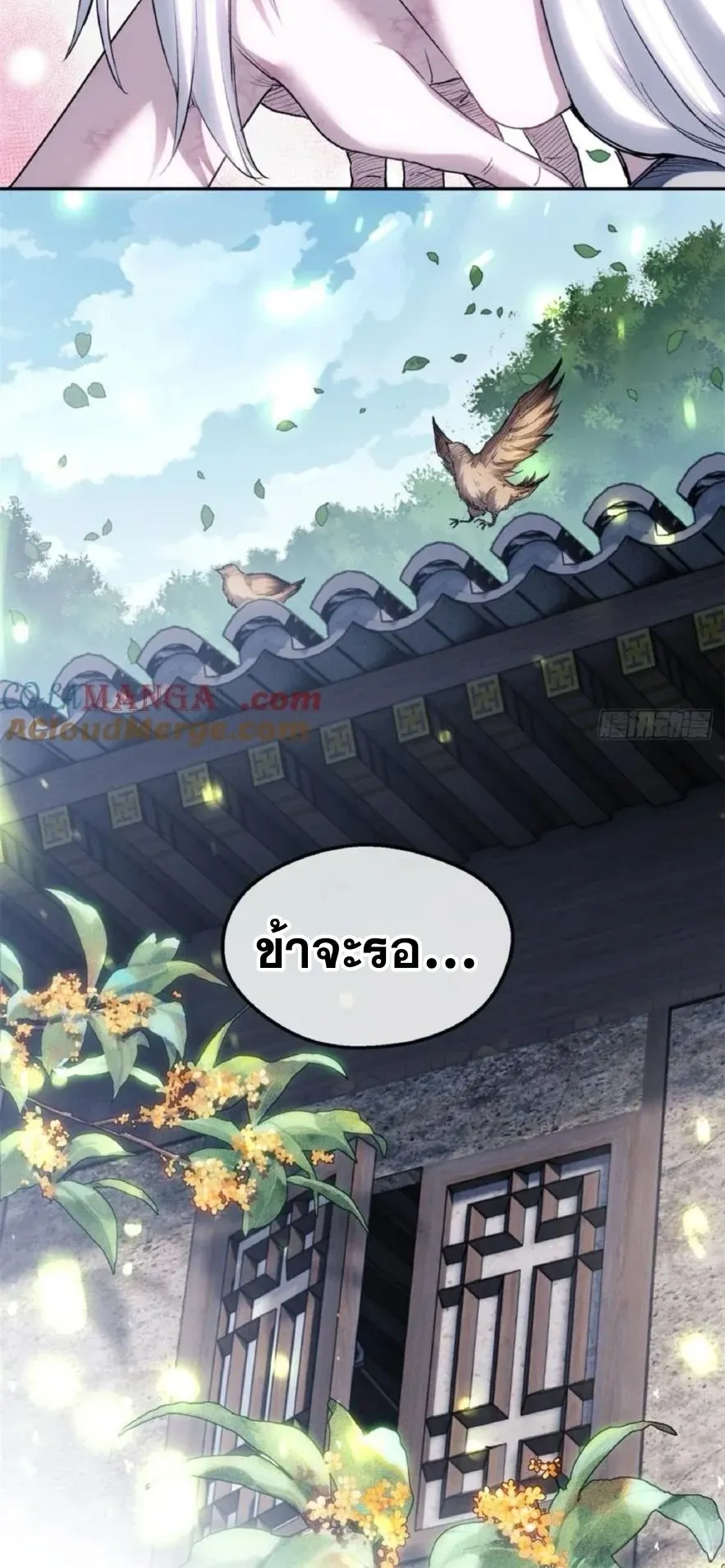 Dao of the Bizarre Immortal ตอนที่ 39 หน้า 31