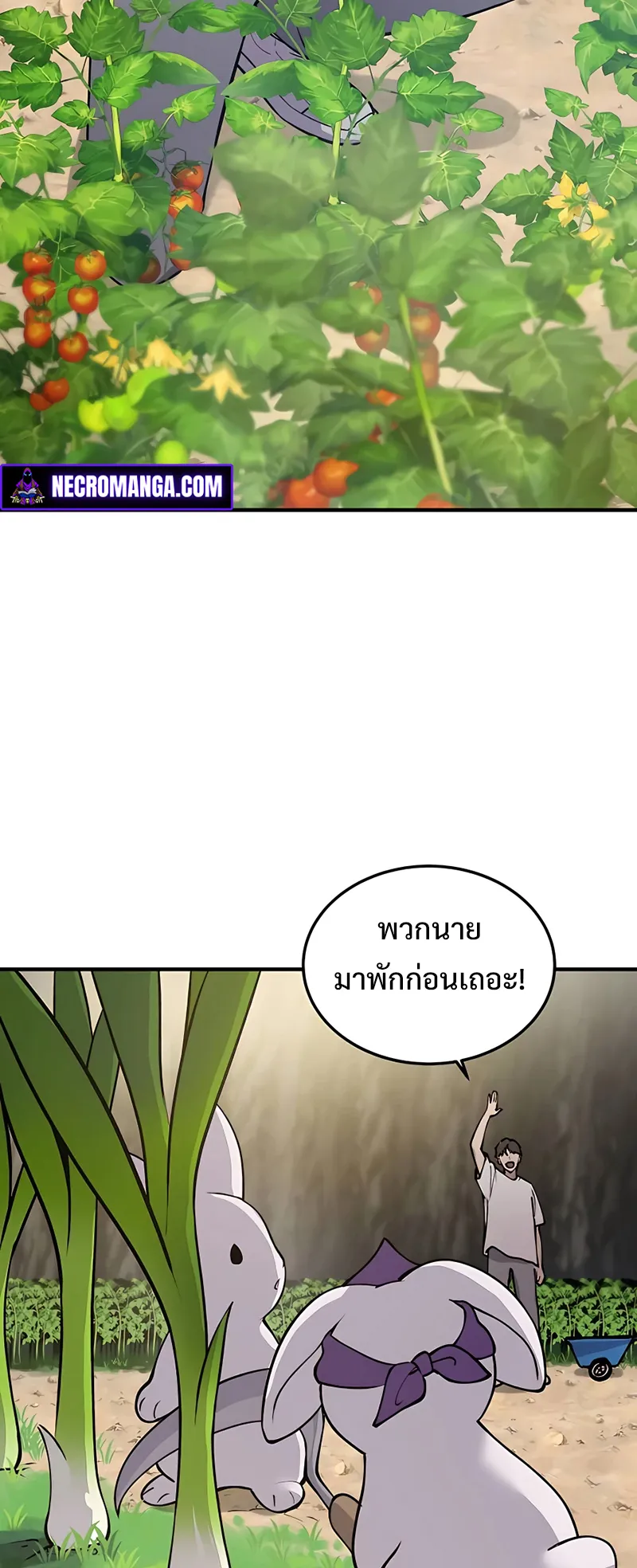 Solo Farming In The Tower ตอนที่ 1 หน้า 17
