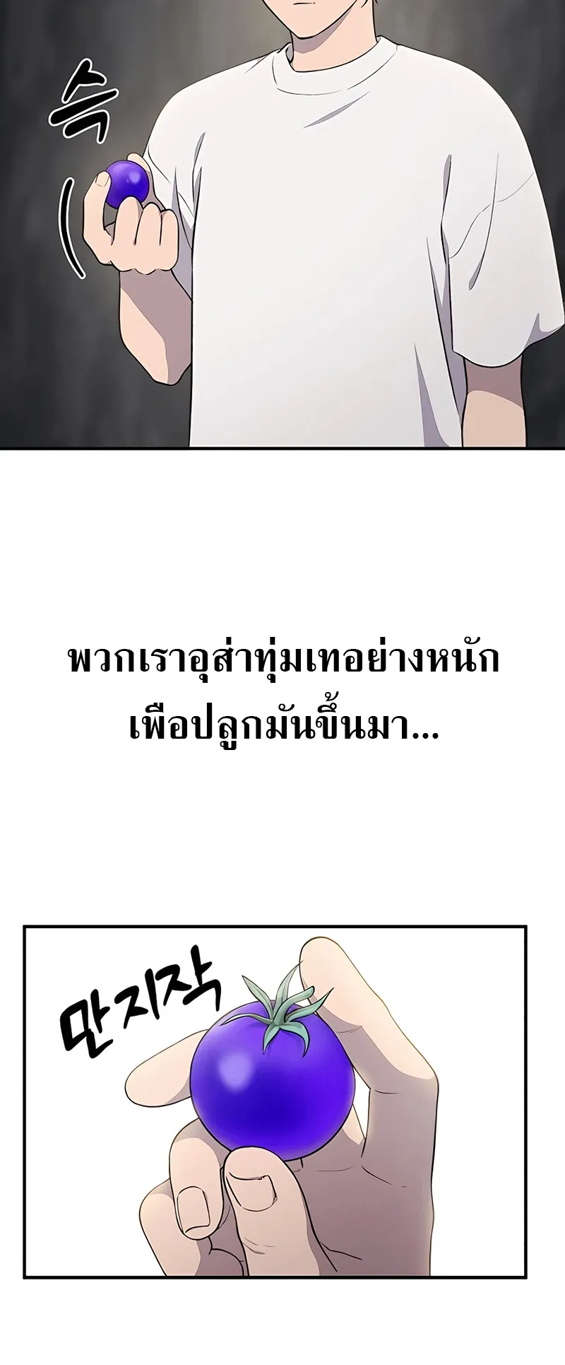Solo Farming In The Tower ตอนที่ 5 หน้า 74