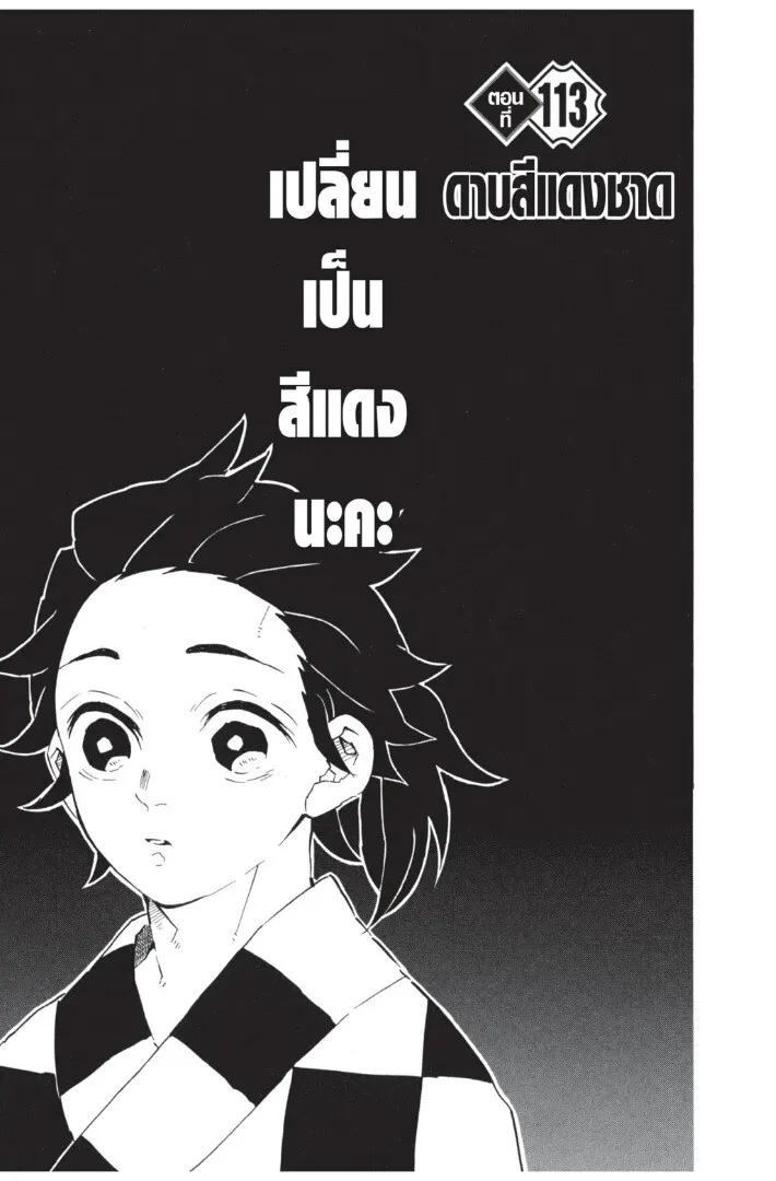 Kimetsu no yaiba ตอนที่ 107 หน้า 131