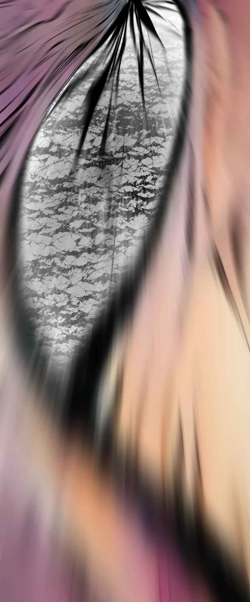 Ninja Reincarnation Fuuma Kotarou’s Quest to Reclaim His Humanity ตอนที่ 34 หน้า 62