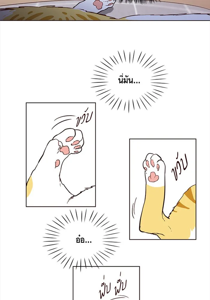 Eleceed ตอนที่ 1 หน้า 51