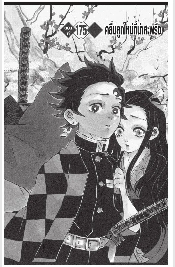 Kimetsu no yaiba ตอนที่ 170 หน้า 106
