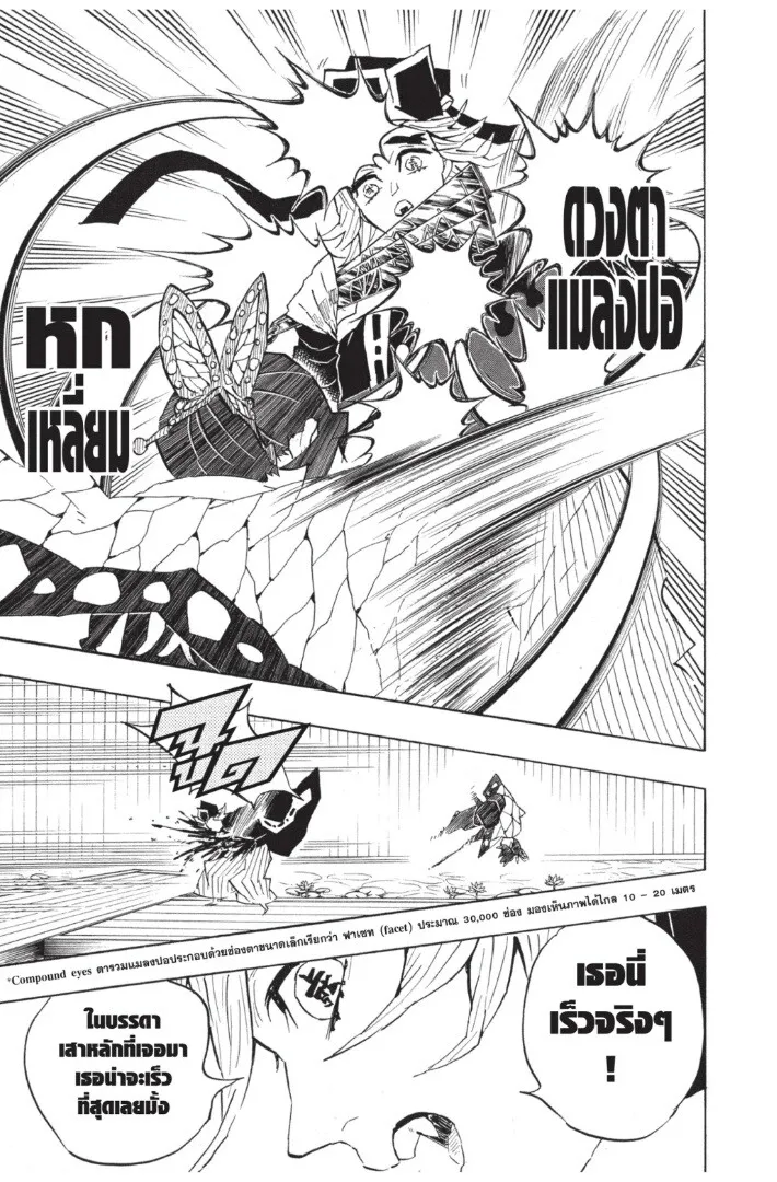 Kimetsu no yaiba ตอนที่ 134 หน้า 175