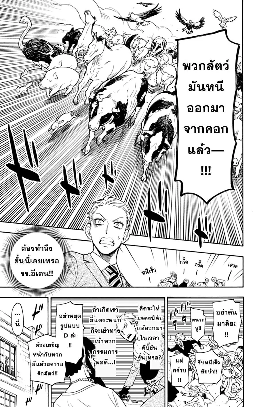 Spy X Family ตอนที่ 4 หน้า 17