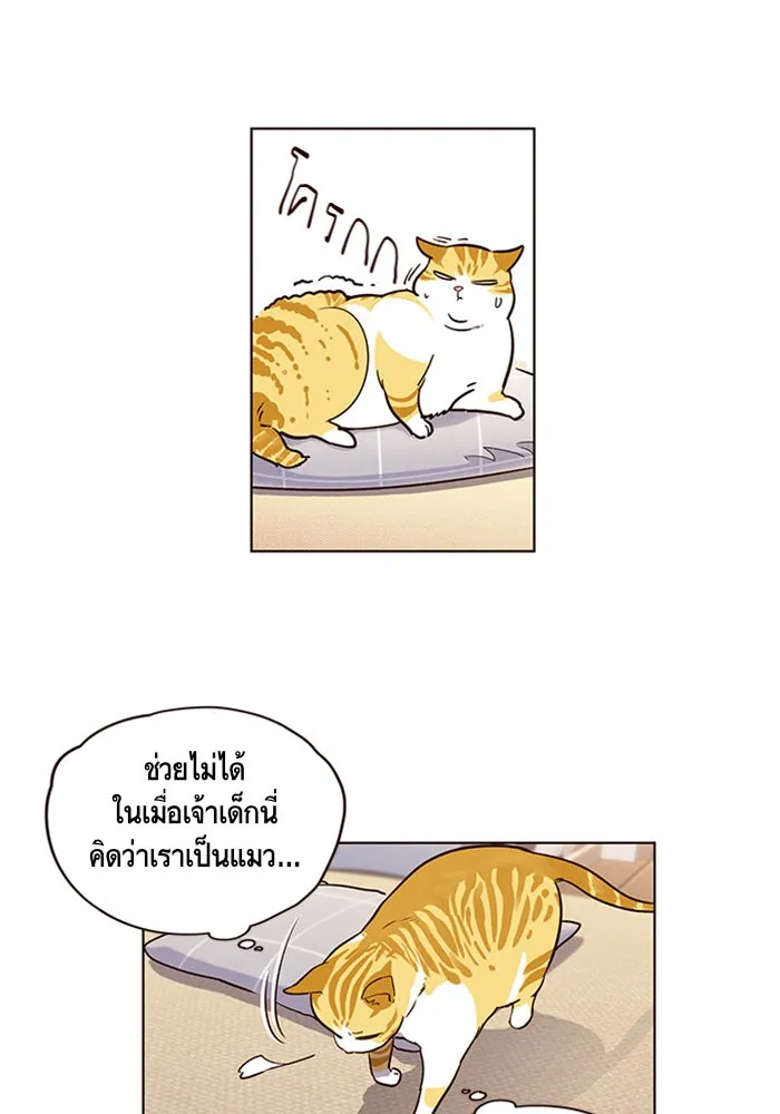 Eleceed ตอนที่ 1 หน้า 70