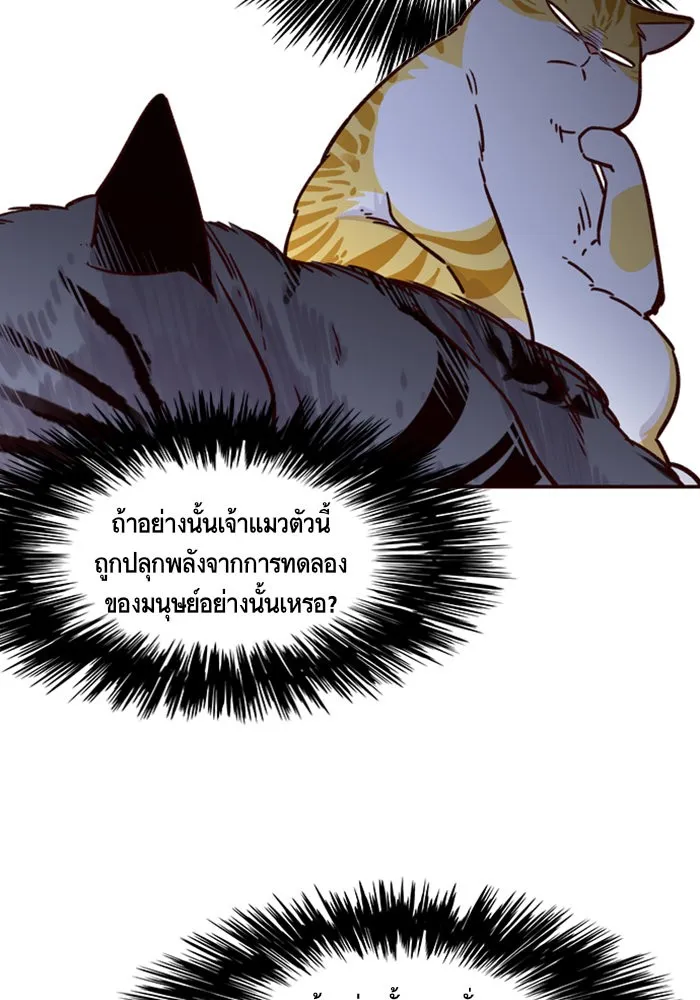 Eleceed ตอนที่ 6 หน้า 11