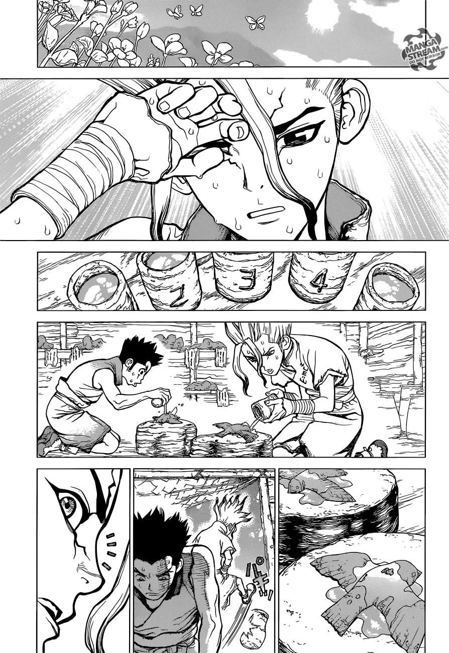 Dr. Stone ตอนที่ 2 หน้า 19