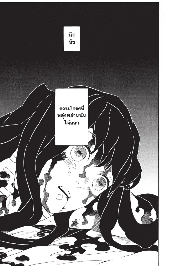 Kimetsu no yaiba ตอนที่ 116 หน้า 109
