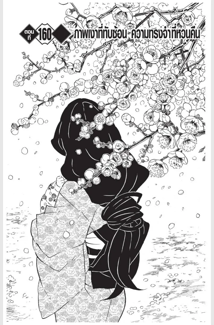 Kimetsu no yaiba ตอนที่ 152 หน้า 171