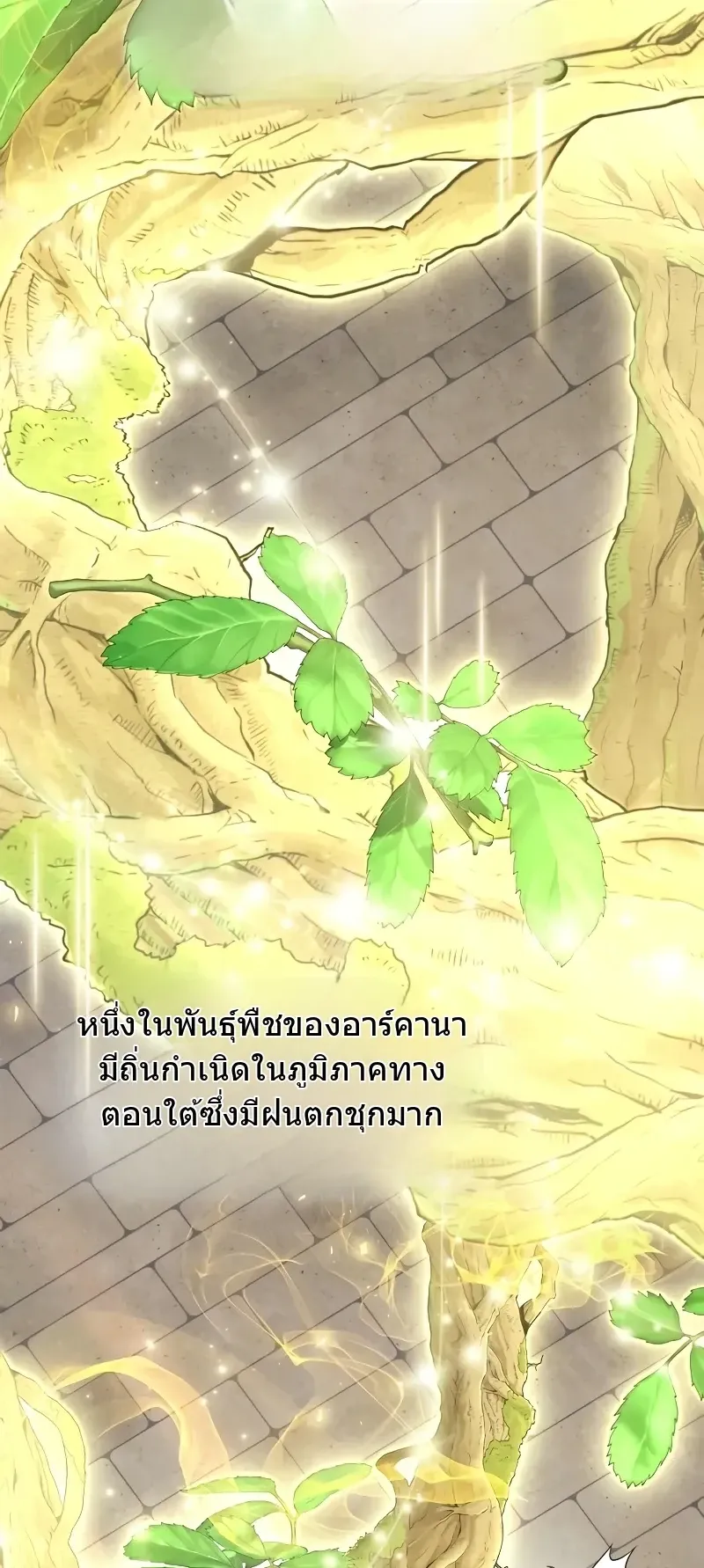 The Player Hides His Past ตอนที่ 87 หน้า 41