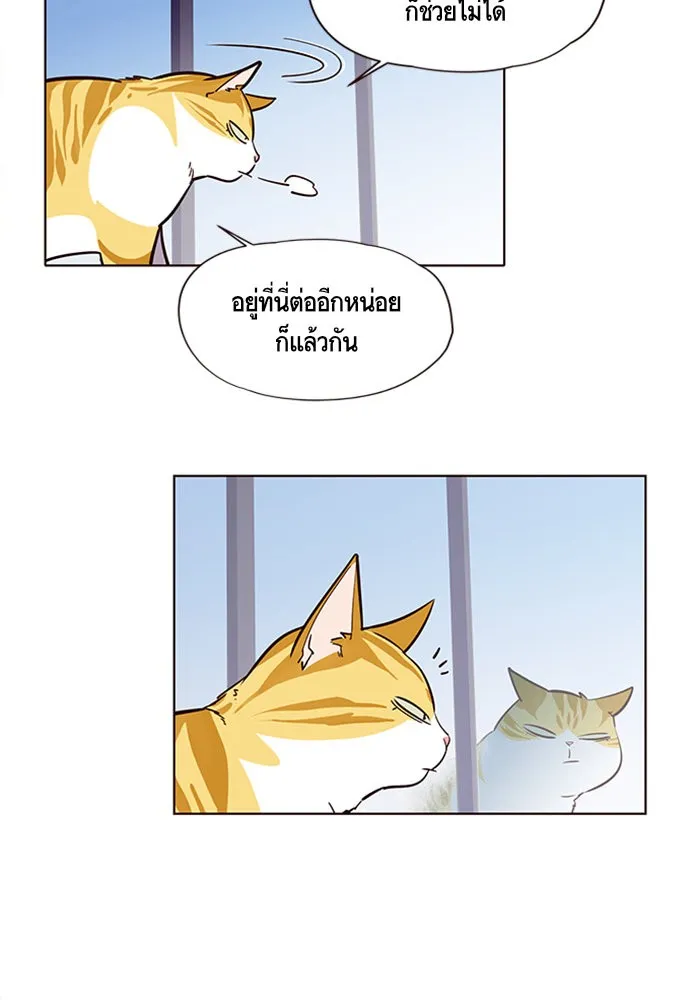 Eleceed ตอนที่ 6 หน้า 53