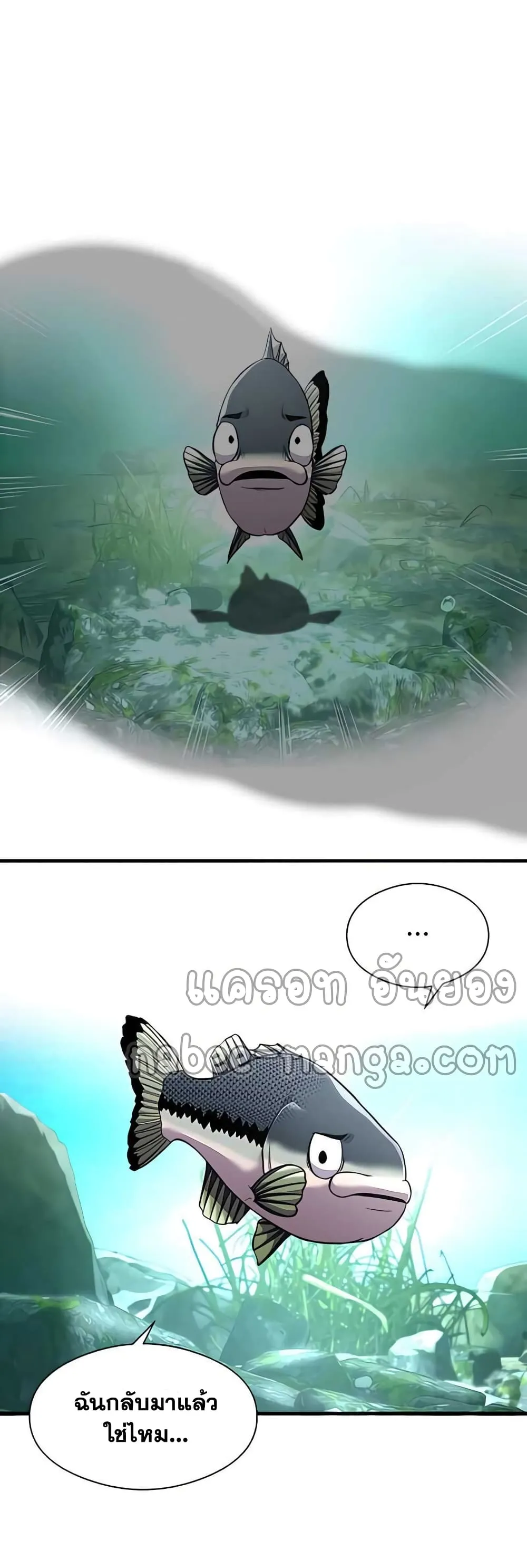Surviving as a Fish ตอนที่ 4 หน้า 13