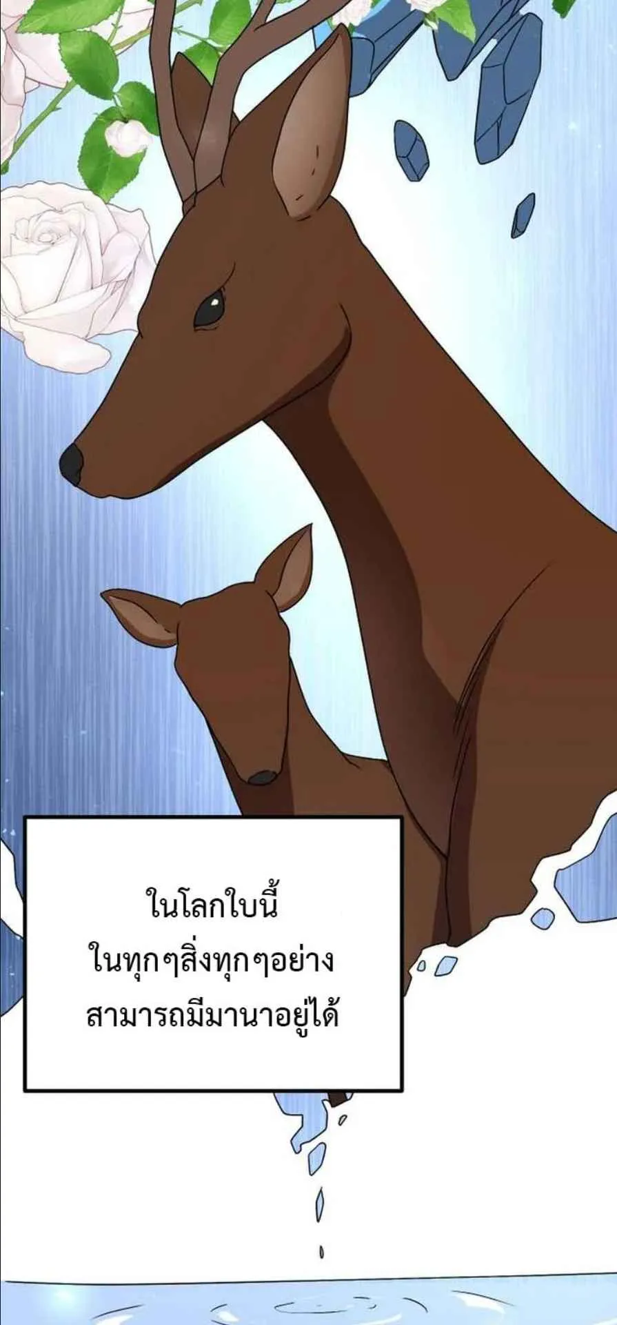 Playing the Perfect Fox-Eyed Villain ตอนที่ 13 หน้า 37