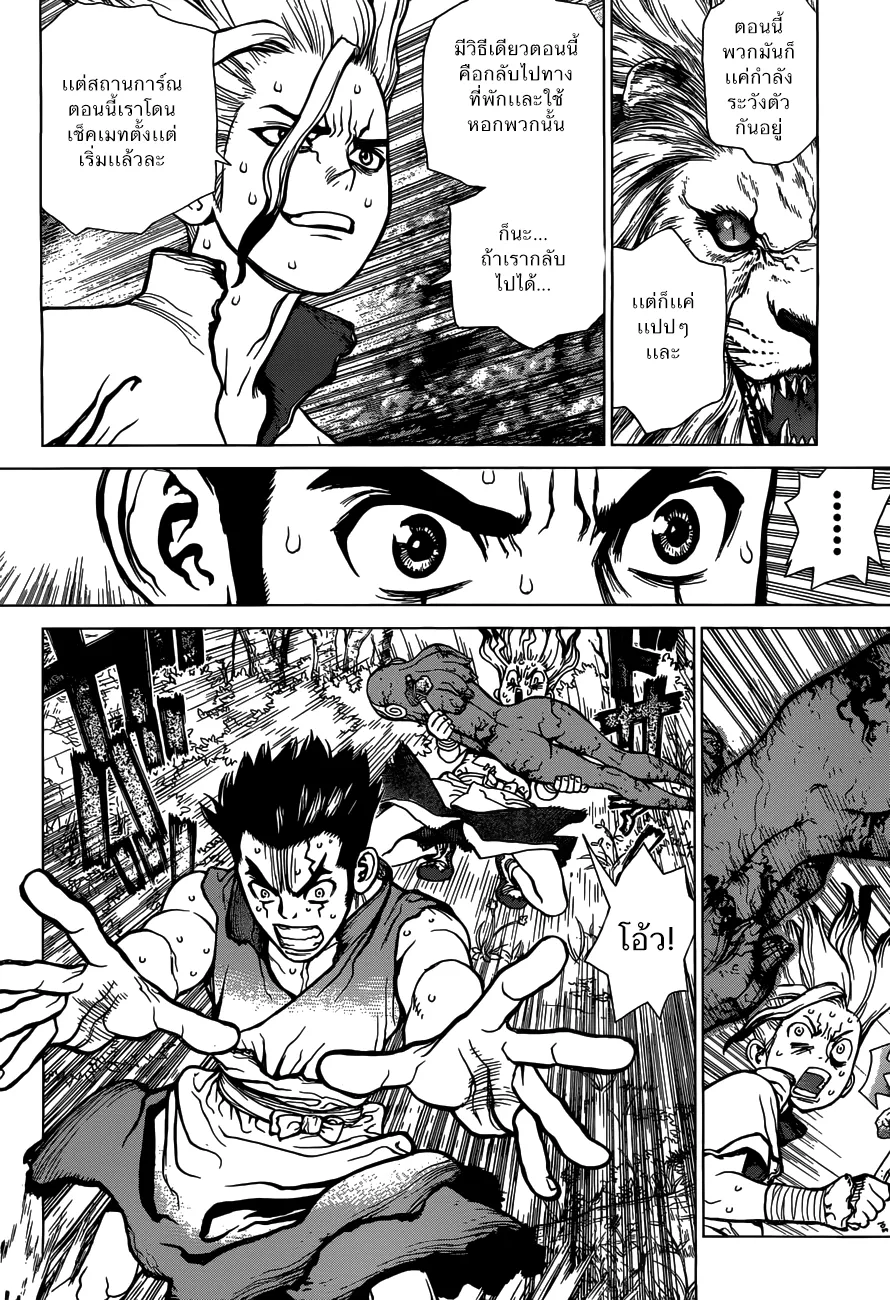 Dr. Stone ตอนที่ 3 หน้า 10