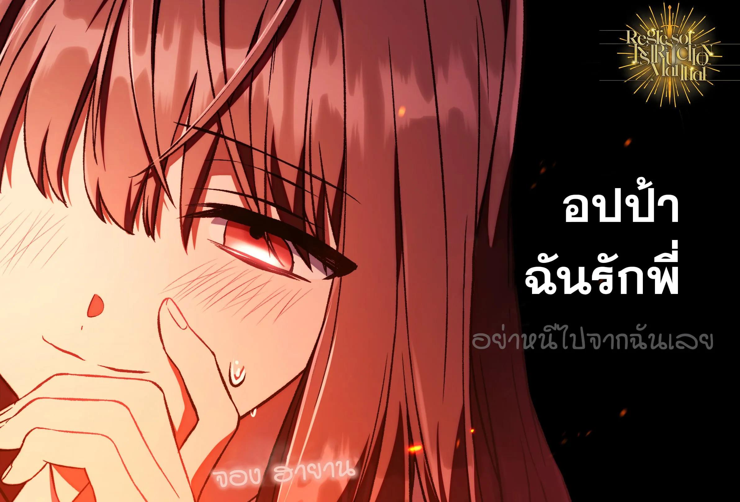 Regressor Instruction Manual ตอนที่ 0 หน้า 4