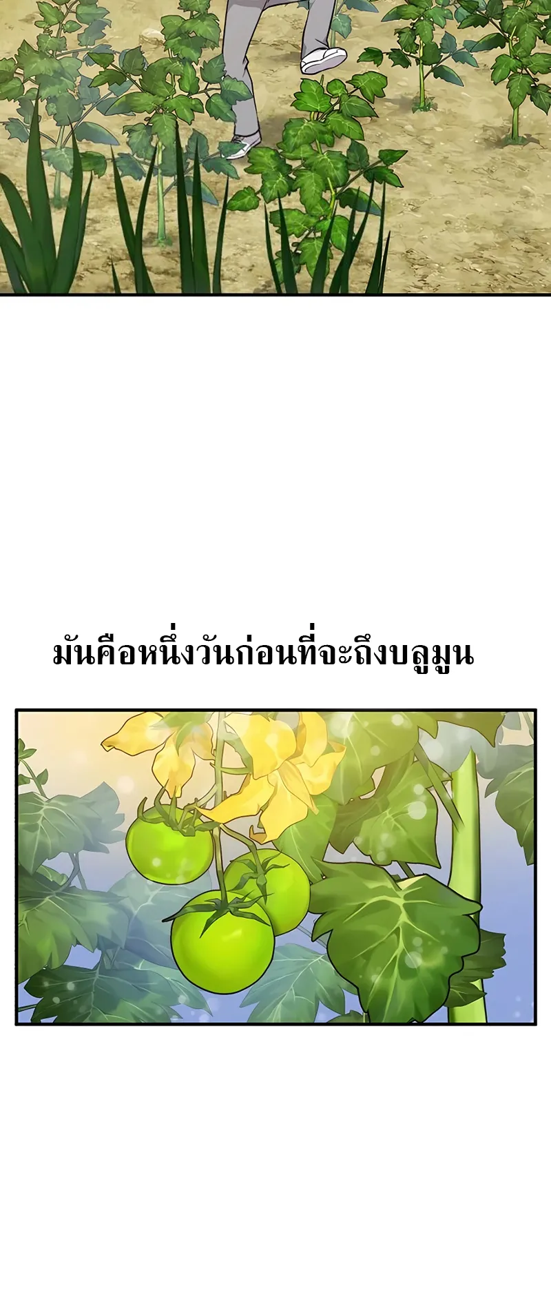Solo Farming In The Tower ตอนที่ 4 หน้า 47
