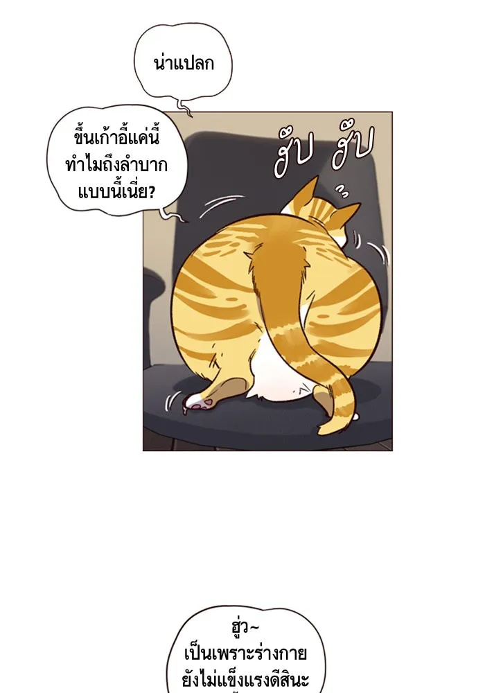 Eleceed ตอนที่ 1 หน้า 87