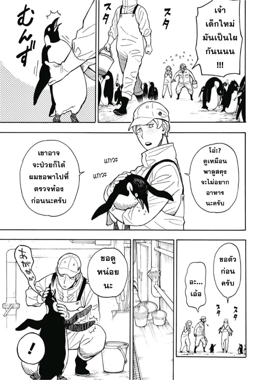 Spy X Family ตอนที่ 8.5 หน้า 23
