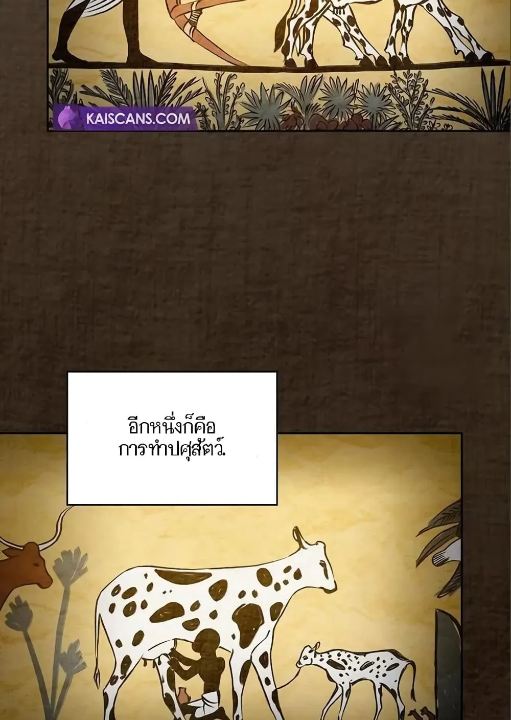 The Nebula’s Civilization ตอนที่ 9 หน้า 14