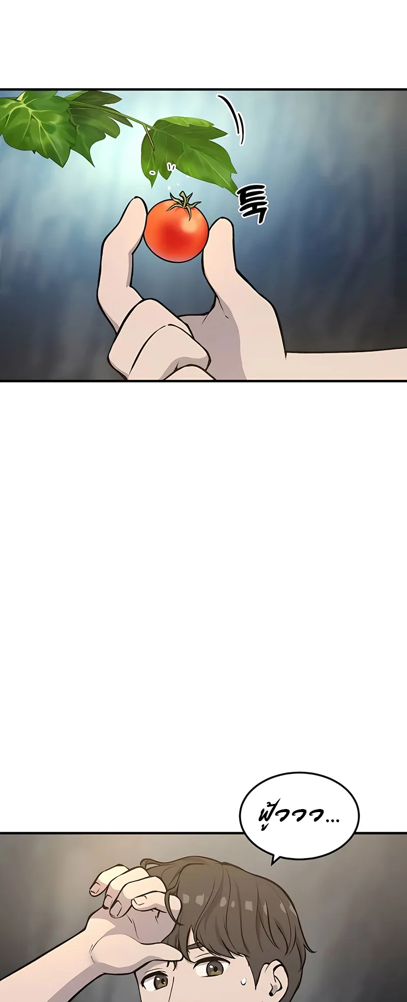 Solo Farming In The Tower ตอนที่ 1 หน้า 15