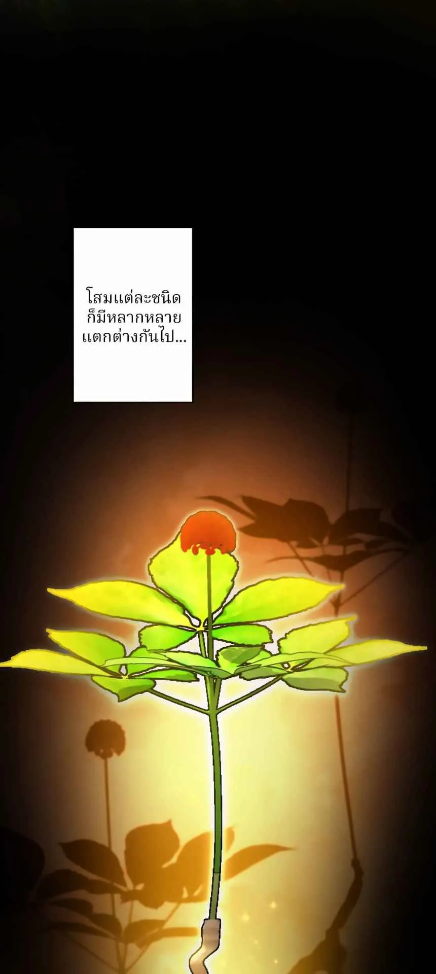 The Swordsmanship Instructor at the Academy ตอนที่ 13 หน้า 23