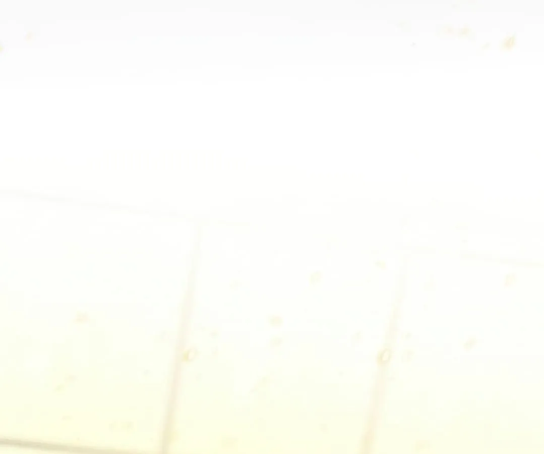 Shinsu Kindergarten ตอนที่ 1 หน้า 63