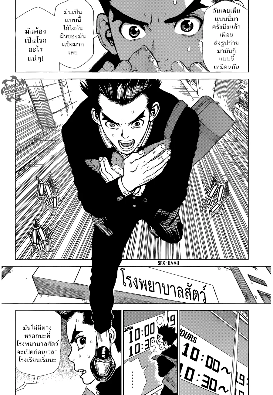 Dr. Stone ตอนที่ 1 หน้า 20