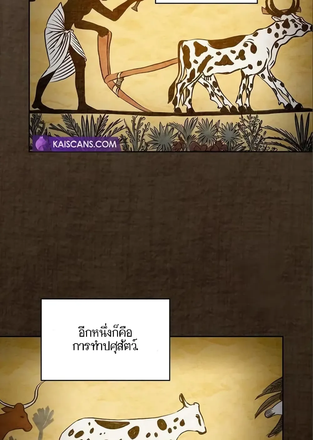 The Nebula’s Civilization ตอนที่ 9 หน้า 4