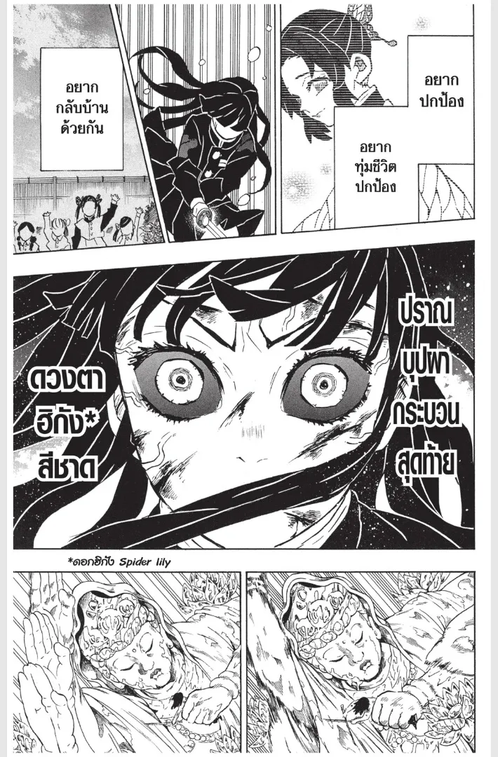 Kimetsu no yaiba ตอนที่ 162 หน้า 17