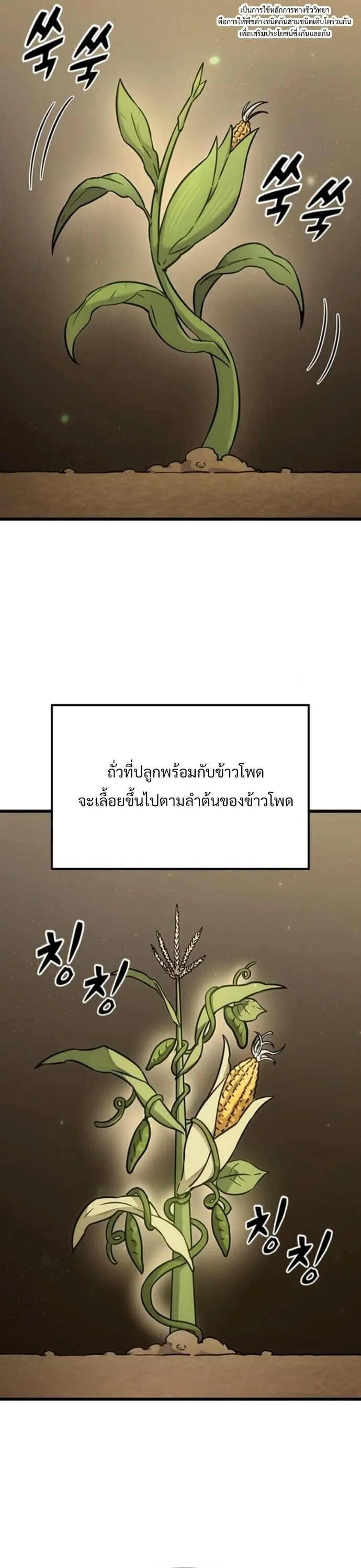 What a Bountiful Harvest, Demon Lord! ตอนที่ 36 หน้า 39