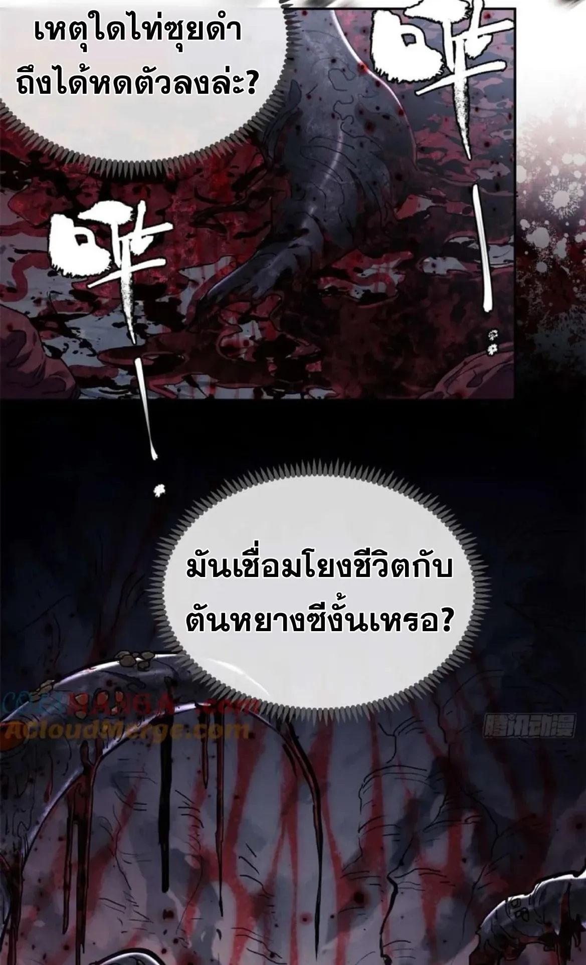 Dao of the Bizarre Immortal ตอนที่ 27 หน้า 14