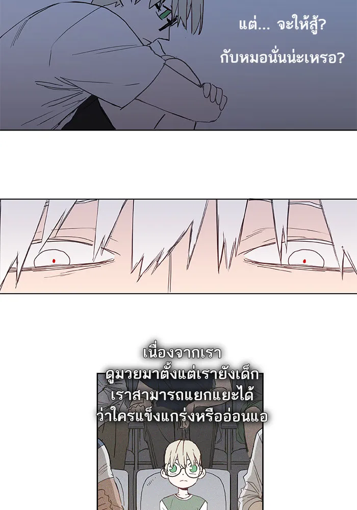 The Boxer ตอนที่ 5 หน้า 4