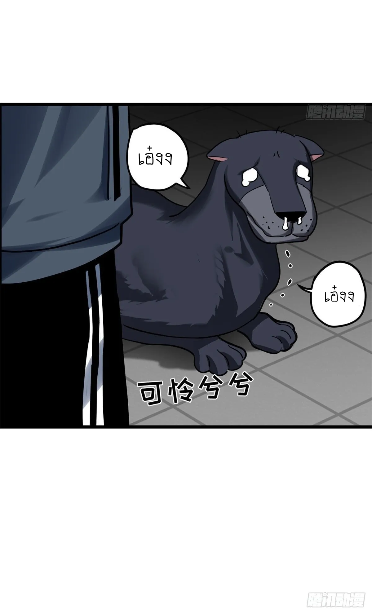 Astral Pet Store ตอนที่ 2 หน้า 16