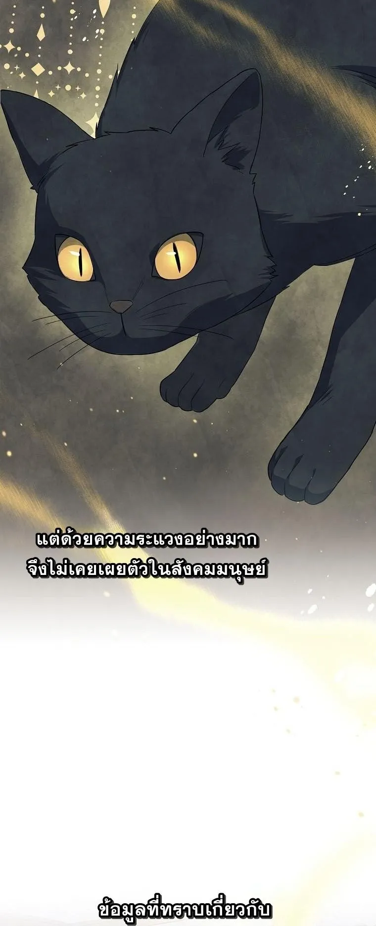 Magic Lord ตอนที่ 13 หน้า 28