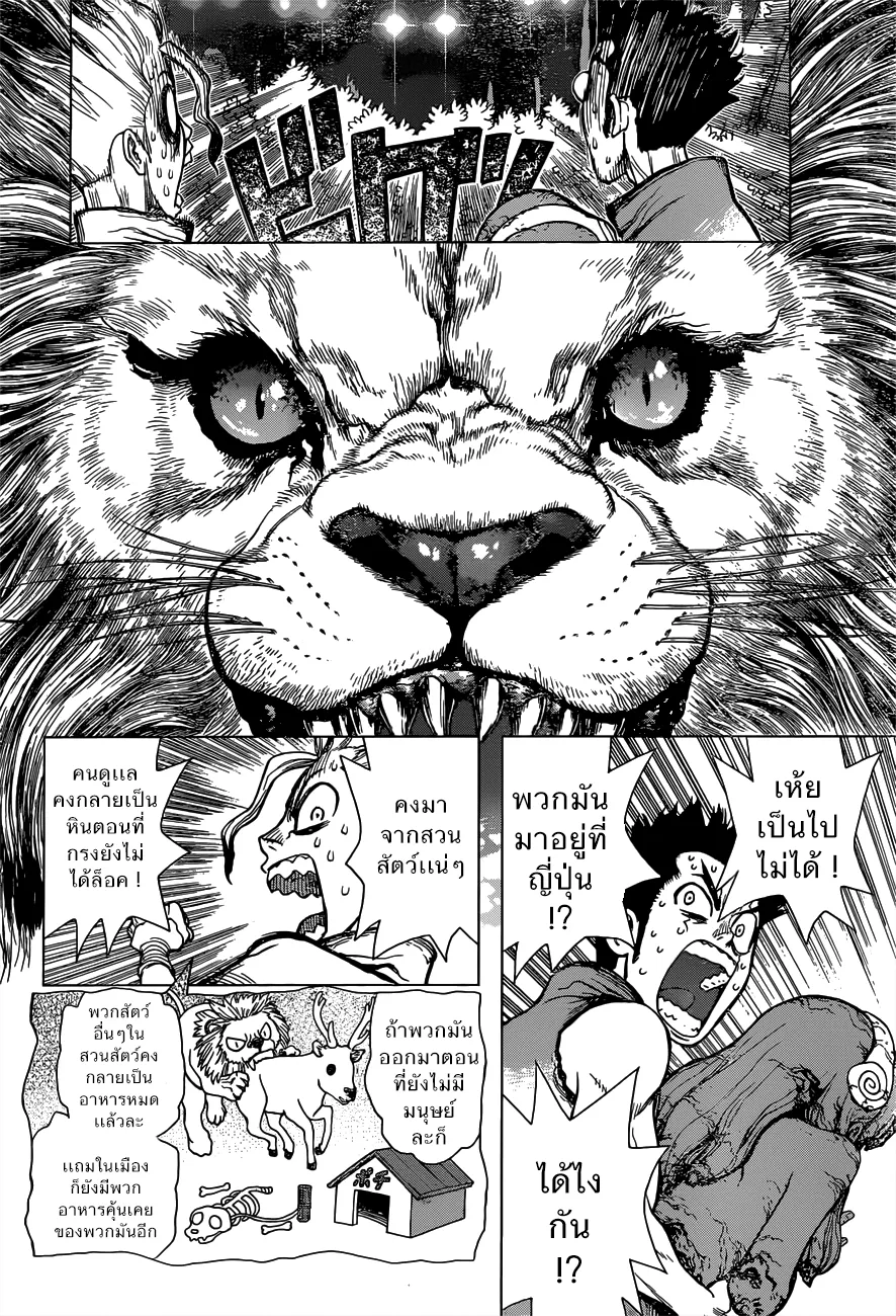 Dr. Stone ตอนที่ 3 หน้า 6