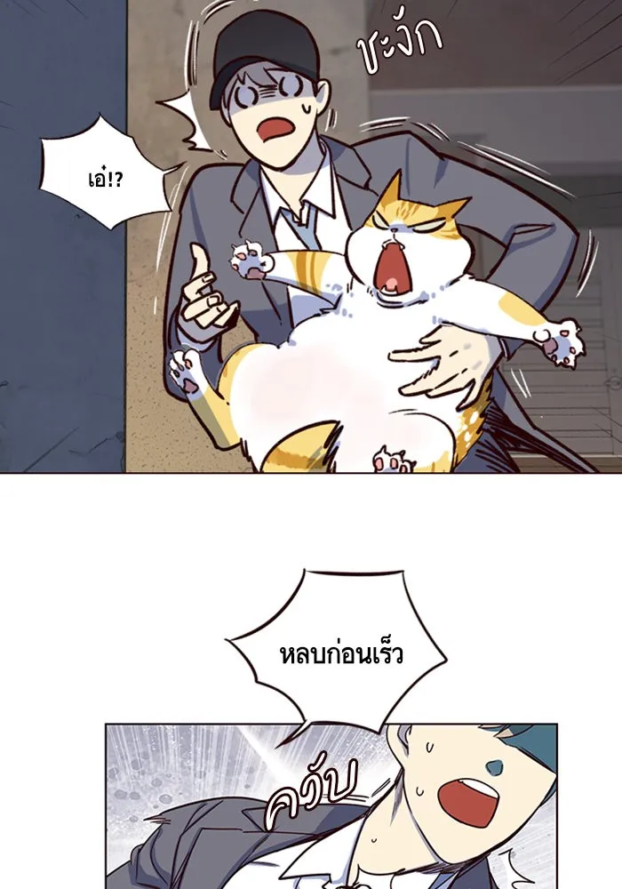 Eleceed ตอนที่ 5 หน้า 36