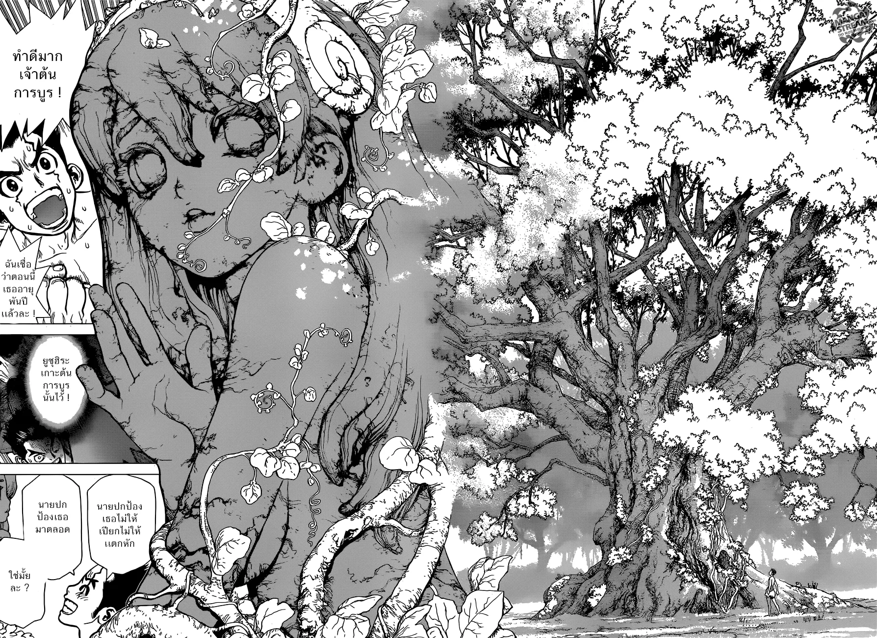 Dr. Stone ตอนที่ 1 หน้า 34